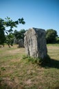 Famous megalith alignment in Carnac Brittany  France Royalty Free Stock Photo