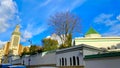 A view of the famous mosque in Paris Royalty Free Stock Photo