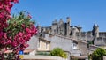 View of famous old castle of Carcassonne in France Royalty Free Stock Photo