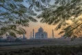 Famous Taj Mahal in India Royalty Free Stock Photo