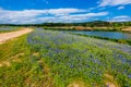 View of Famous Texas Bluebonnet Wildflowers on the Colorado Riv