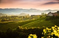 View from famous wine street in south styria, Austria on tuscany like vineyard hills