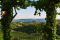 View from famous wine street in south styria, Austria on tuscany like vineyard hills Royalty Free Stock Photo