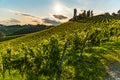 View from famous wine street in south styria, Austria on tuscany like vineyard hills Royalty Free Stock Photo