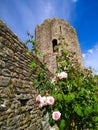 Farleigh Hungerford Castle ruined tower and roses