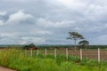 View of a farm in Africa and typical tropical landscape, trees and other types of vegetation