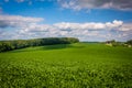 View of farm fields in rural Baltimore County, Maryland. Royalty Free Stock Photo