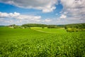 View of farm fields in rural Baltimore County, Maryland. Royalty Free Stock Photo