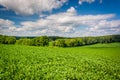 View of farm fields in rural Baltimore County, Maryland. Royalty Free Stock Photo