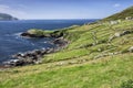 Farm on Hogs Head, Ring of Kerry Royalty Free Stock Photo