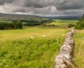 Fields and sheep on farm land in a valley with rain clouds