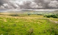 Fields and sheep on farm land in a valley with rain clouds