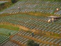 View the Farmfield on the highlands Royalty Free Stock Photo