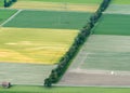 Farming fields and rows of trees with a crop duster plane seen from above