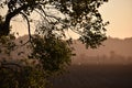 A view of farmland in the Pajaro Valley Royalty Free Stock Photo