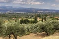 View of farmland and village Mystras on a winter day Greece, Peloponnesus