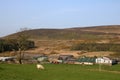 Fell End farm buildings, Grizedale Fell, Scorton Royalty Free Stock Photo