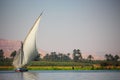 View of feluka boat sailing in the Nile river close to Luxor harbor, Egypt Royalty Free Stock Photo