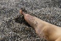 View of female's legs on the sand of Caves of Matala, Greece Royalty Free Stock Photo