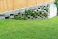 View of the fence in the form of a concrete wall with holes in which ampelous plants grow against a green lawn. Concept background