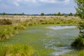 Fenn`s, Whixall and Bettisfield Mosses National Nature Reserve in Shropshire Royalty Free Stock Photo