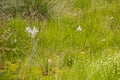 Fenn`s, Whixall and Bettisfield Mosses National Nature Reserve in Shropshire Royalty Free Stock Photo