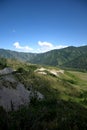 A view of the fertile valley from the top of the hill