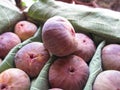 Ficus carica also known as the common fig or Anjeer fruit