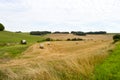 View of a field of bales of straw
