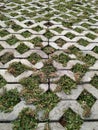 The view of field of grass paving block