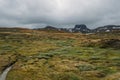 view of field with green grass and rocks on background, Norway, Hardangervidda Royalty Free Stock Photo