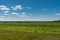 View of a field in Illinois country side Royalty Free Stock Photo