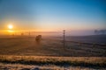 View of a field with powerlines at sunset. Royalty Free Stock Photo