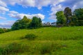 Field, sheep, and houses in Portinscale, Lake District Royalty Free Stock Photo