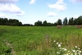 View of field with stacks of straw