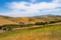 View of the fields and crops near the city of Cesaro with the et Royalty Free Stock Photo