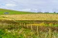 Fields and haystacks, in Marwick Head