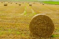 Fields and haystacks, in Marwick Head