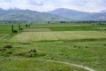 View of fields, a herd of cows and horses, a distant village and mountains in Kyrgyzstan