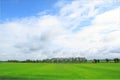 View of fields tree sky to show the freshness of nature. Blur style for background. Royalty Free Stock Photo