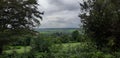 View of fields through trees