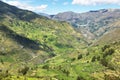 View of fields in the way to Huanuco, Peru Royalty Free Stock Photo