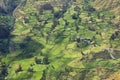 View of fields in the way to Huanuco, Peru Royalty Free Stock Photo