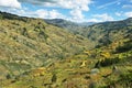 View of fields in the way to Huanuco, Peru Royalty Free Stock Photo