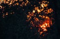 FIERY SUNSET GLOW VISIBLE THROUGH FOLIAGE OF AFRICAN BUSH