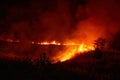 View of Fire Burning Grass and Trees at Night