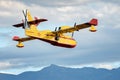 View of fire fighting airplane in the air.