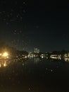 View of fireflies flying a dark night in a river with bright lights from a city