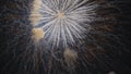 View of fireworks lighting up the sky during the holiday season Royalty Free Stock Photo