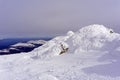 View from the iced mountain top to the winter valley Royalty Free Stock Photo